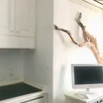 Lovely Apartamento