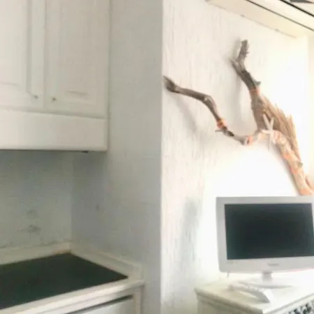 Lovely Apartment