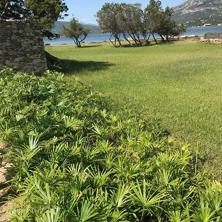 Lovely Apartment Porto Rotondo